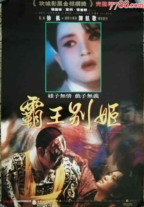 慕尼黑工业大学Accounting Diploma